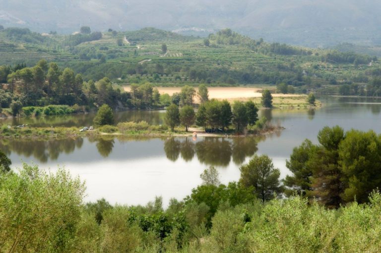 La Diputación destina cerca de 300.000 euros al control de plagas de moscas y mosquitos en 93 municipios, entre los que se encuentra Novelda