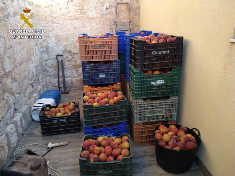La Guardia Civil recupera cerca de media tonelada de fruta procedente de hurtos en el medio rural en Monforte del Cid y Aspe