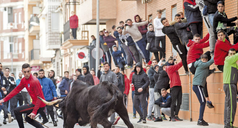 El Partido Popular pide que los festejos taurinos formen parte de la programación de la televisión pública valenciana