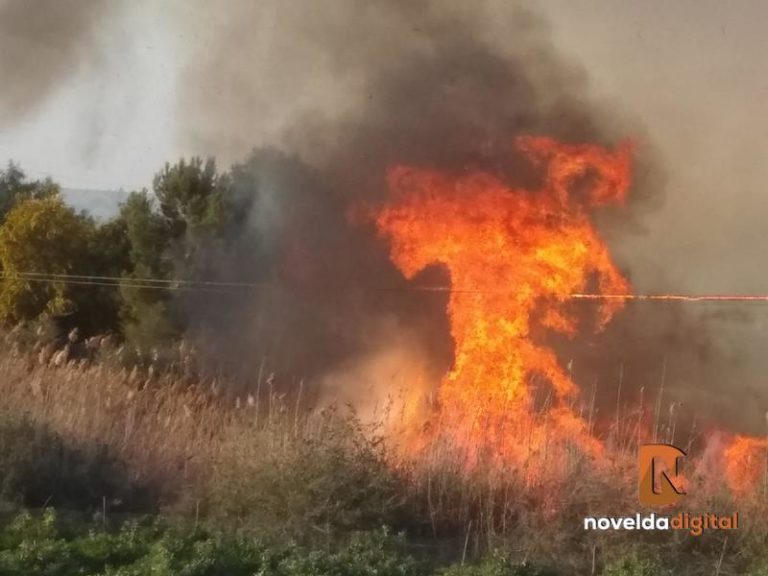 Nuevo incendio en el paraje de Cucuch de Novelda