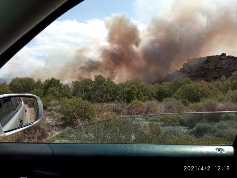 Un incendio de grandes dimensiones de “cañar” como el que hubo hace unos días en Novelda se ha producido esta mañana en Aspe