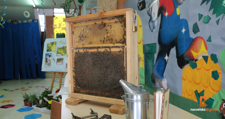 La concejalía de Medio Ambiente ofrece una charla educativa sobre apicultura en el Sánchez Albornoz