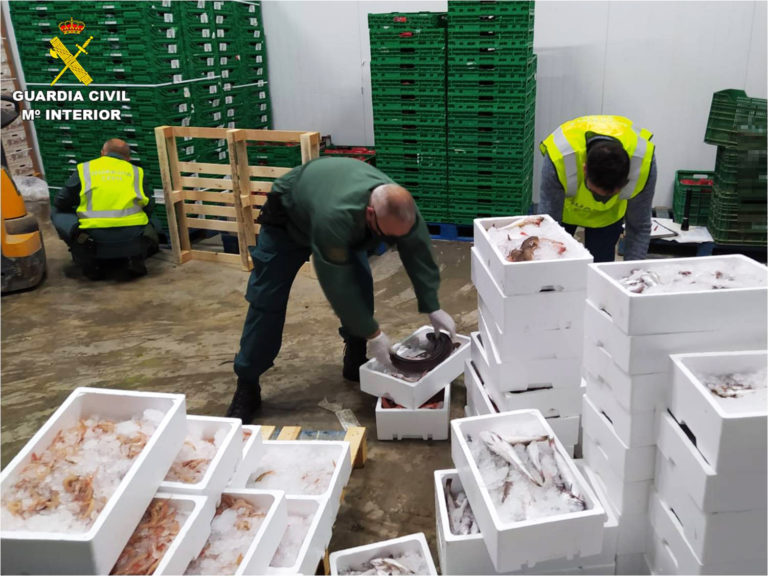 La Guardia Civil interviene más de 400 kilogramos de pescado fresco que se estaba transportando de forma irregular