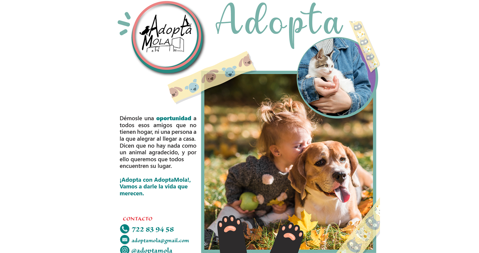 AdoptaMola presenta la campaña Adopta para darle a los animales la vida que merecen