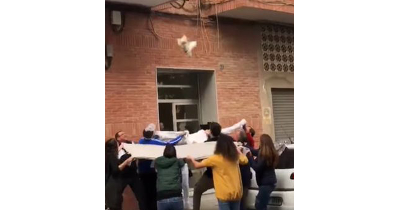 Vecinos de Novelda salvan la vida a un perro que se precipitó por un balcón
