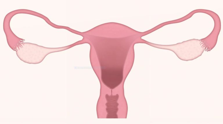 Sanidad extiende el modelo de cribado de cáncer de mama a la detección precoz del cáncer de cuello de útero en mujeres de 25 a 65 años