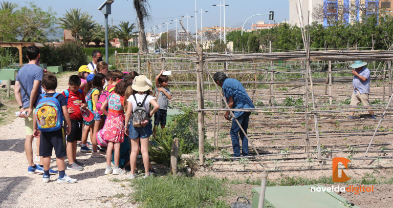 Escolares noveldenses visitan los huertos ecológicos municipales