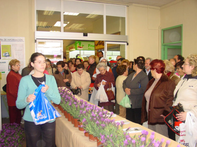 La Concejalía de Medio Ambiente reparte 1.000 plantas de romero y lavanda