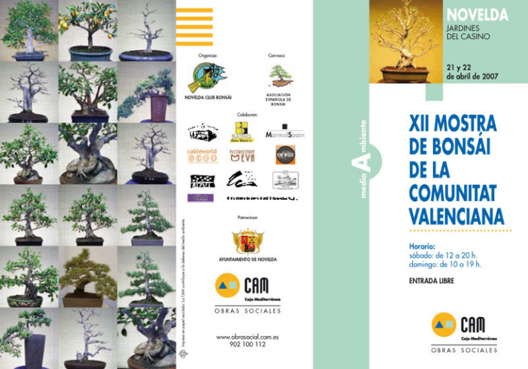 Inauguración de la XII Mostra de Bonsáis de la Comunitat Valenciana