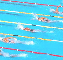 El Club Natación Novelda celebra una asamblea informativa