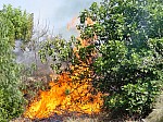 Temperaturas Extremas de más de 40º de calor provocan una situación excepcional y grave en cuanto a incendios forestales