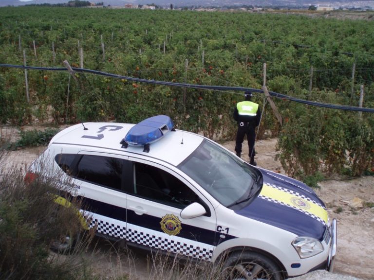 La Policía Local identifica a ocho personas que robaban uva y tomate en los campos de Novelda