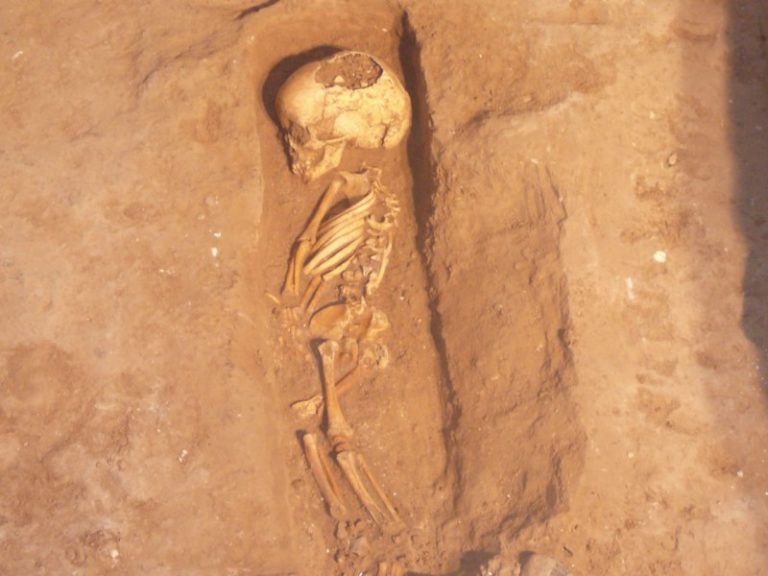 Hallan restos humanos del siglo XI en la ermita de San Felipe