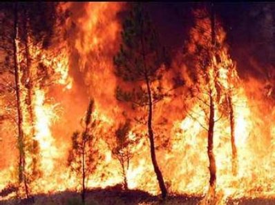 Gobernación decreta la alerta máxima por incendios forestales en toda la Comunitat Valenciana