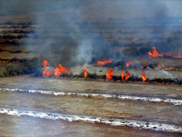 Gobernación decreta la preemergencia ante el riesgo de incendios forestales
