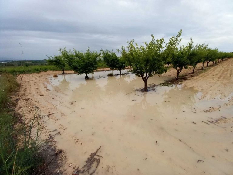 ASAJA y LA UNIÓ valoran las lluvias de las últimas horas como «muy positivas» para el campo valenciano