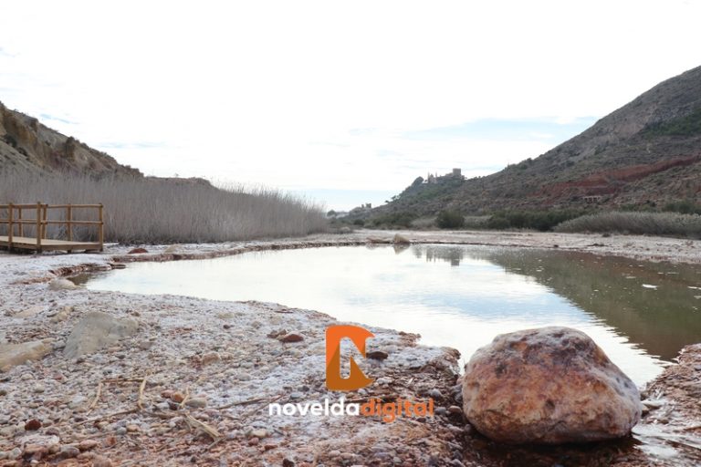 Medio Ambiente realiza mejoras en el Paraje Natural Municipal Clots de la Sal i Serra de la Mola