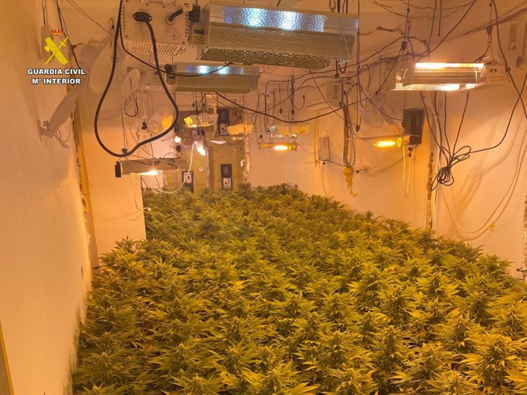 La Guardia Civil desmantela una gran plantación de marihuana indoor en Aspe