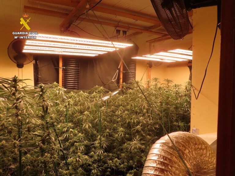La Guardia Civil desmantela una sofisticada plantación de marihuana en El Campello