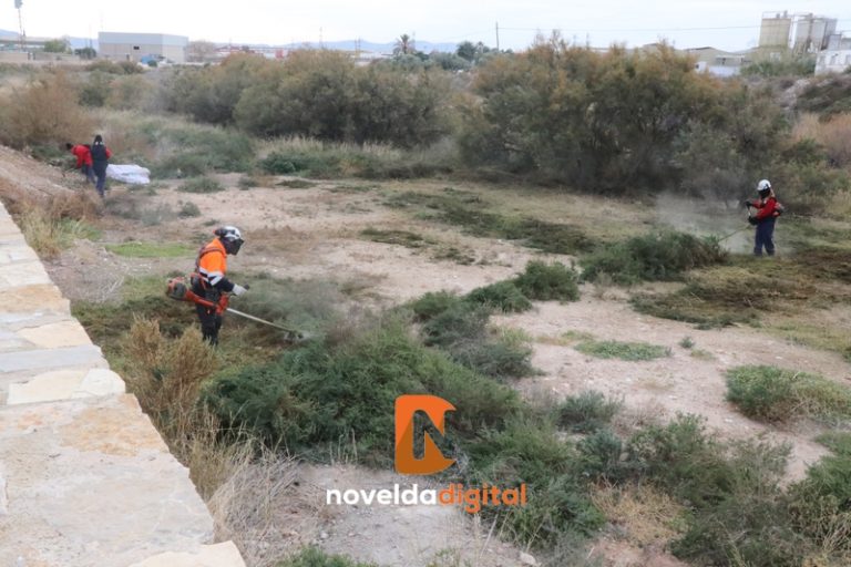 La Brigada Forestal desbroza el cauce del río Vinalopó en el tramo urbano de Novelda