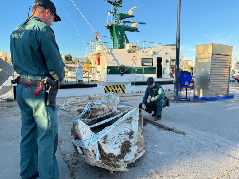 Localizados restos óseos de un cetáceo abandonados junto a una gasolinera del puerto de Villajoyosa