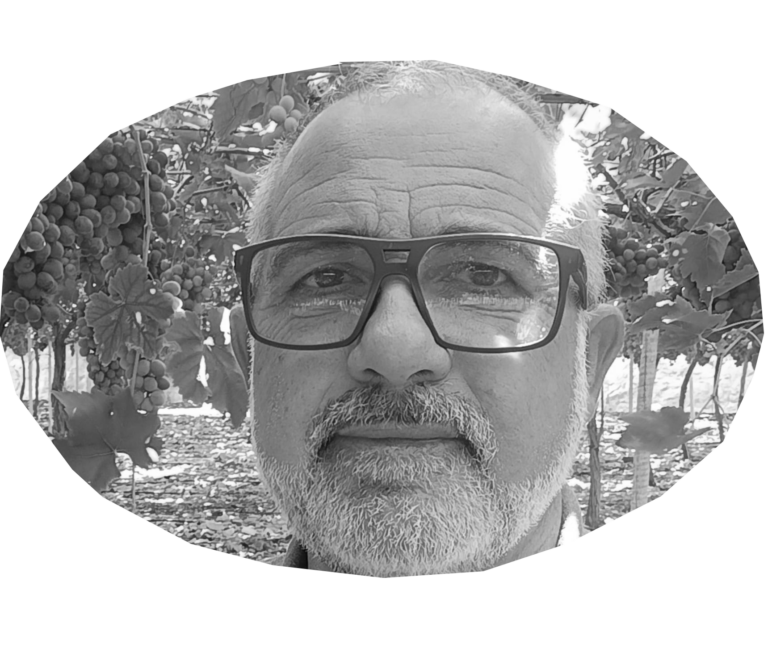 ‘TIEMPOS CONVULSOS’. Opinión de José Enrique Sánchez, productor agrícola noveldense