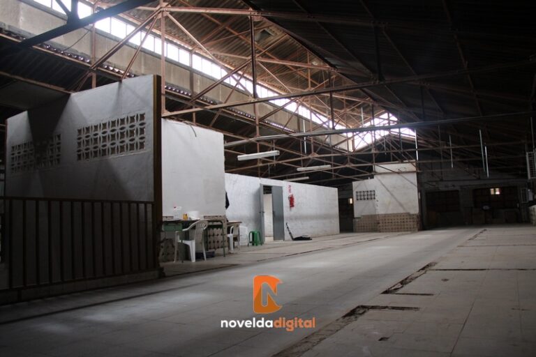 Así se encuentra la primera planta del Mercado de Abastos de Novelda antes de su reforma integral