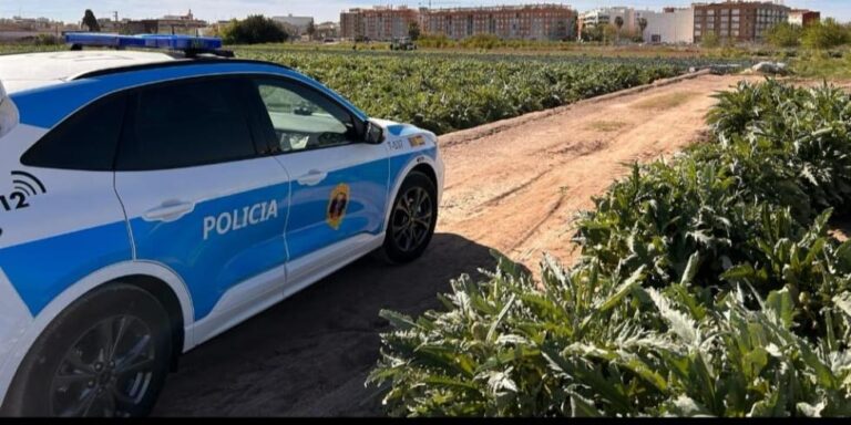 La Policía de la Generalitat controla 530.430 kilos de productos agrícolas dentro de la ‘Operación Horta’ para frenar la venta ilegal y los robos en el campo