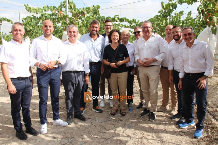 La Denominación de Origen Uva de Mesa Embolsada del Vinalopó presenta en Monforte la nueva campaña con el corte del primer racimo