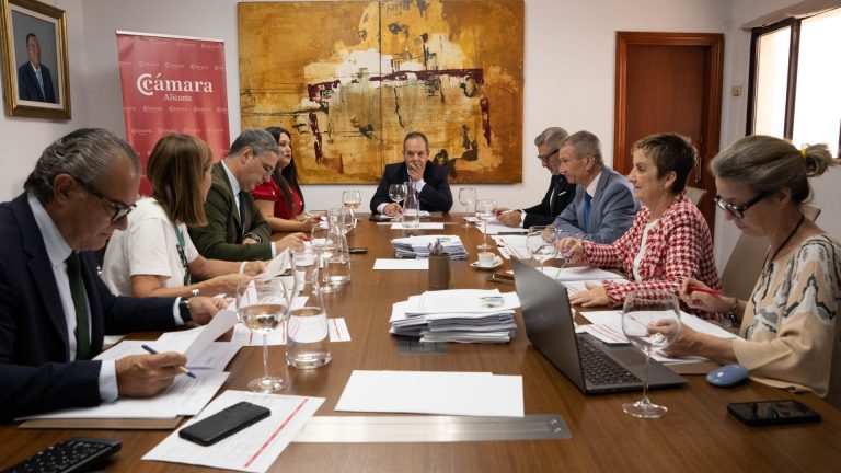 BalBaleària, Actiu, TM Grupo Inmobiliario, Magic Costa Blanca, Panter, Vigar, Nax Solutions y Carnicerías Gombao, empresas galardonadas con los Premios Cámara 2023